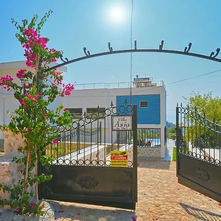 Asia Vila